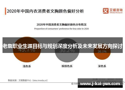老詹职业生涯目标与规划深度分析及未来发展方向探讨